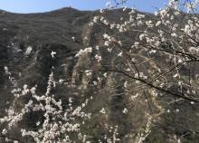 北京药王谷风景区6