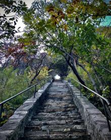 桃源仙谷自然风景区11