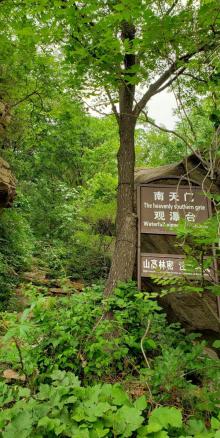 云龙涧风景区16
