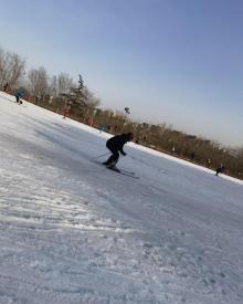 万龙八易滑雪场5