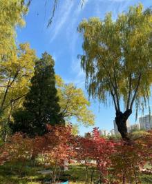 青年湖公园19