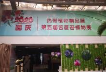 北京植物园-展览温室3
