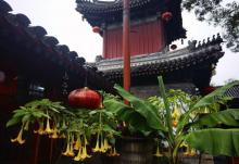 地安门7