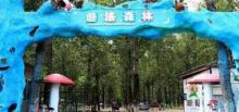 童趣蘑法森林1