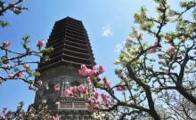 玲珑公园4