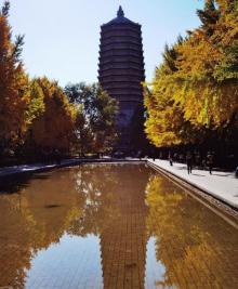 玲珑公园20