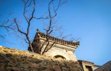 杨无敌祠2