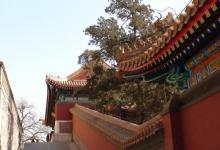 多宝琉璃塔20