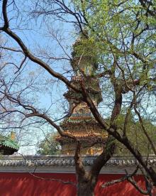多宝琉璃塔3