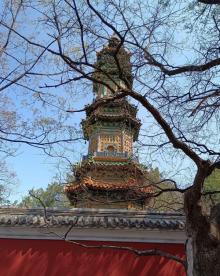 多宝琉璃塔11
