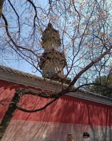 多宝琉璃塔8
