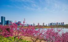 亦庄通明湖公园8