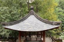 樱桃沟5
