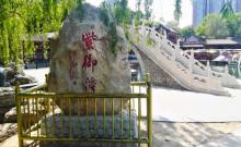 紫御湾码头1