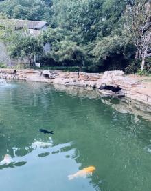三里河公园21