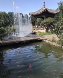 三里河公园23