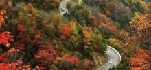 房山白草畔自然风景区2