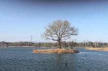 北京温榆河公园26