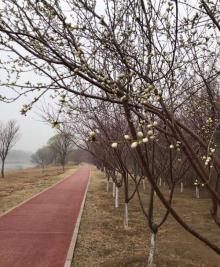 北京温榆河公园7