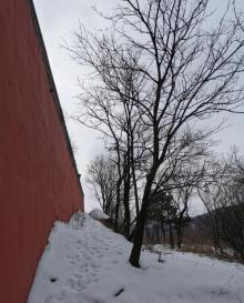 妙峰山风景区3