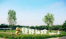 绿野仙踪郊野乐园9