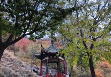 北宫国家森林公园29
