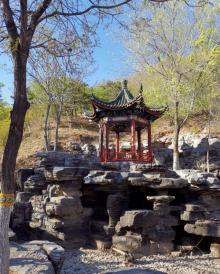 北宫国家森林公园13