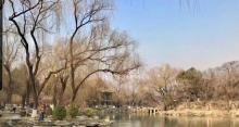 未名湖26