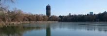 未名湖30