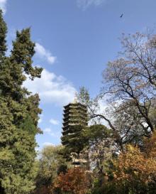 未名湖11