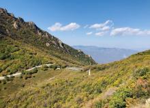 百瑞谷景区24