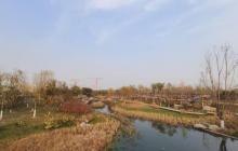 城市绿心森林公园21