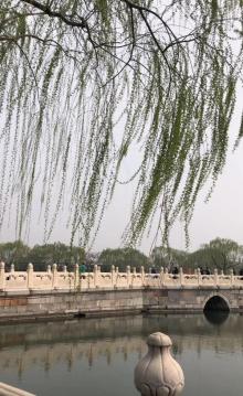 北海公园游船3