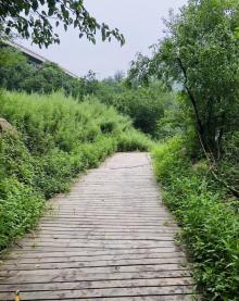 怀北漂流12