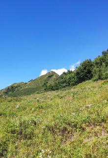 灵山6