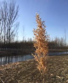 东郊湿地公园9