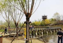 东郊湿地公园12