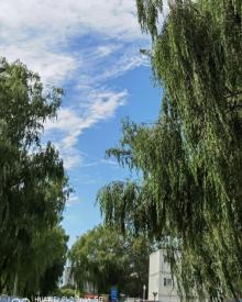 正觉寺12