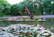 百里山水画廊―滴水壶20