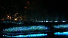 百里山水画廊―滴水壶10