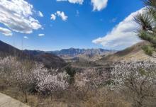 百里山水画廊―滴水壶14
