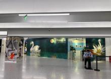 国际安徒生奖50周年世界插画大展-北京站2