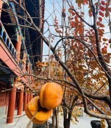 西黄寺7