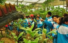 呀路古热带植物园13