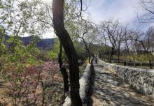 阳台山自然风景区4