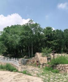 阳台山自然风景区10
