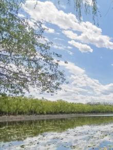 西堤28