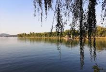 西堤24