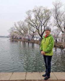 西堤9
