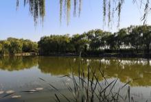 西堤1